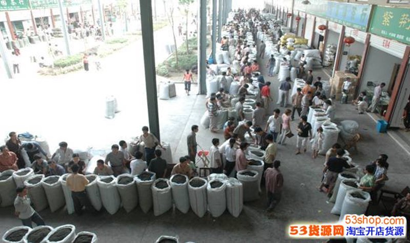 解锁铁观音的迷人风味：泡茶小技巧
